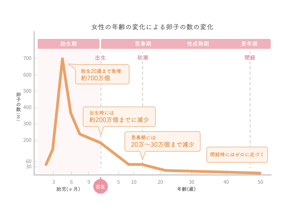 卵子の数