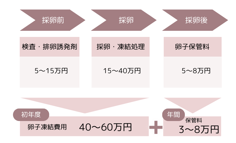 卵子凍結費用一覧　卵子凍結費用及び年間保管料